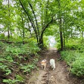 Review photo of Hackberry Hollow Campground — Indian Cave State Park by Kalab R., July 21, 2024