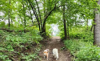 Kalab R.'s photo of camping with pets at Hackberry Hollow Campground — Indian Cave State Park near Falls City, NE