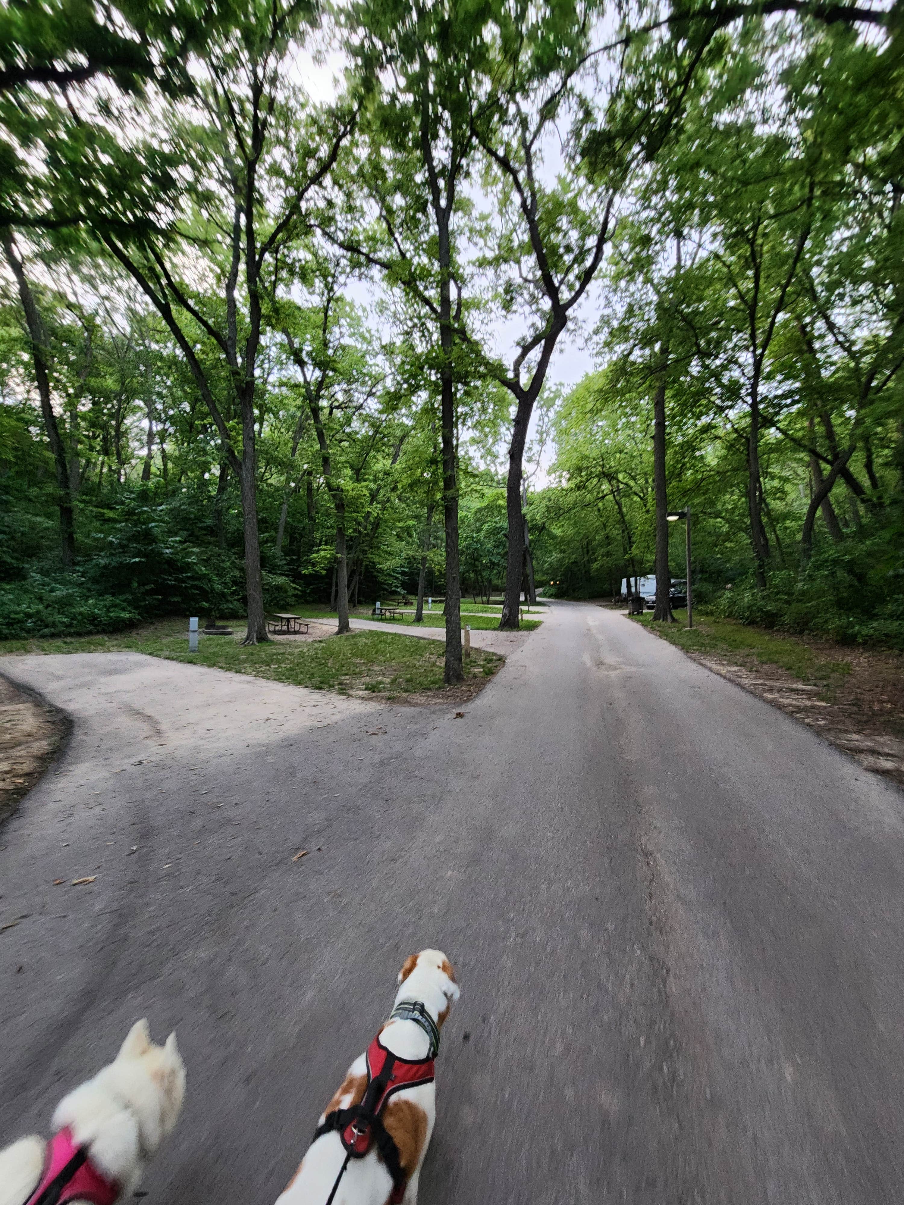 Kalab R.'s photo of camping with pets at Hackberry Hollow Campground — Indian Cave State Park near Forest City, MO