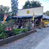 Review photo of Hagerstown / Antietam Battlefield KOA by Chelsea B., October 11, 2025