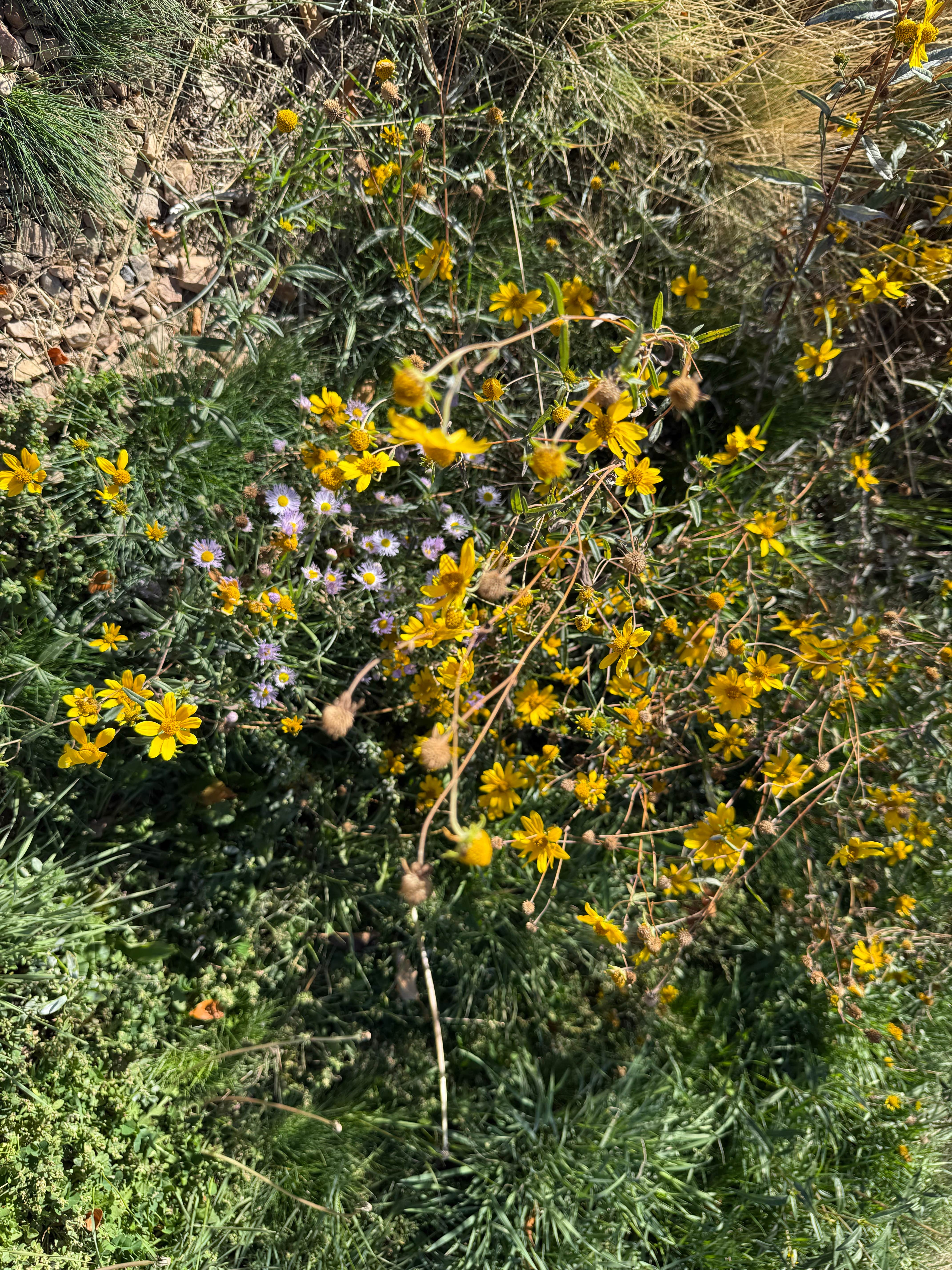 Camping near River's Edge at Heber Valley: Hailstone - Lower Fisher Campground — Jordanelle State Park, Park City, Utah