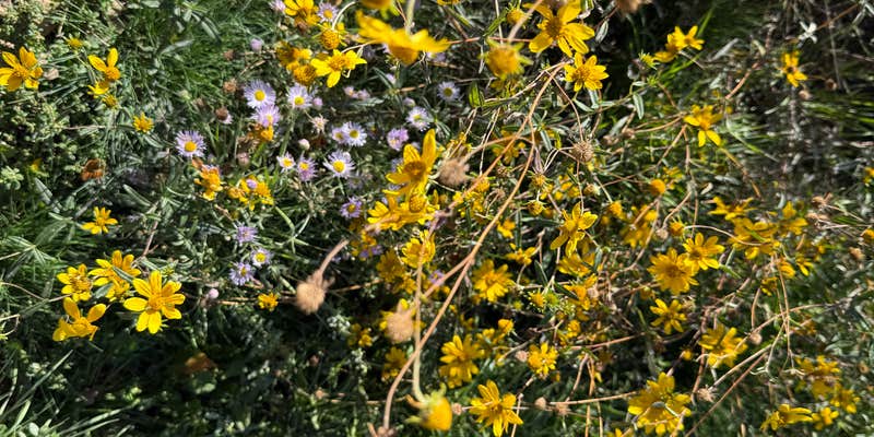 Camper submitted image from Hailstone - Lower Fisher Campground — Jordanelle State Park