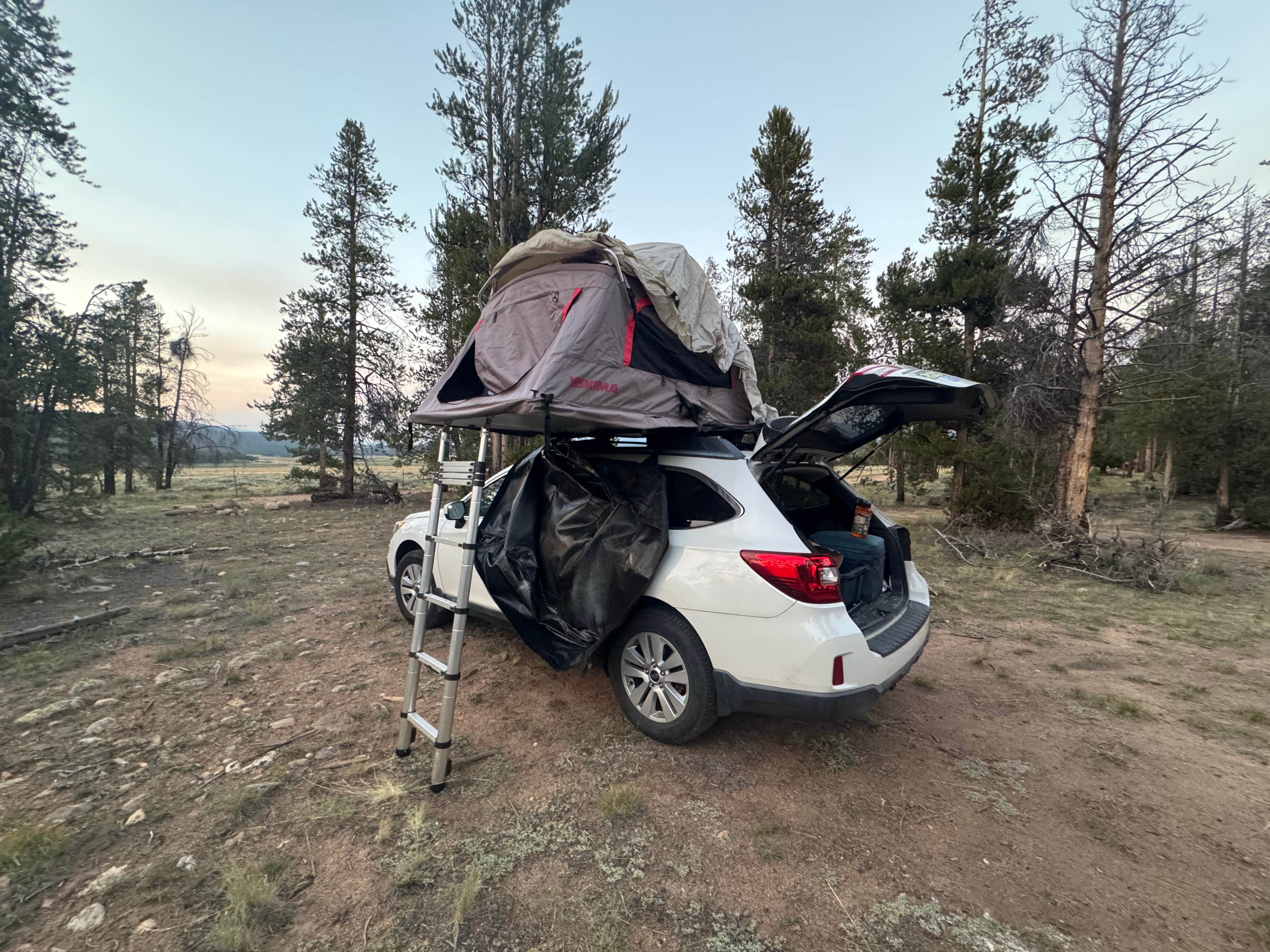 Camping near Halfmoon East — Psicc: Halfmoon Creek North, Leadville, Colorado
