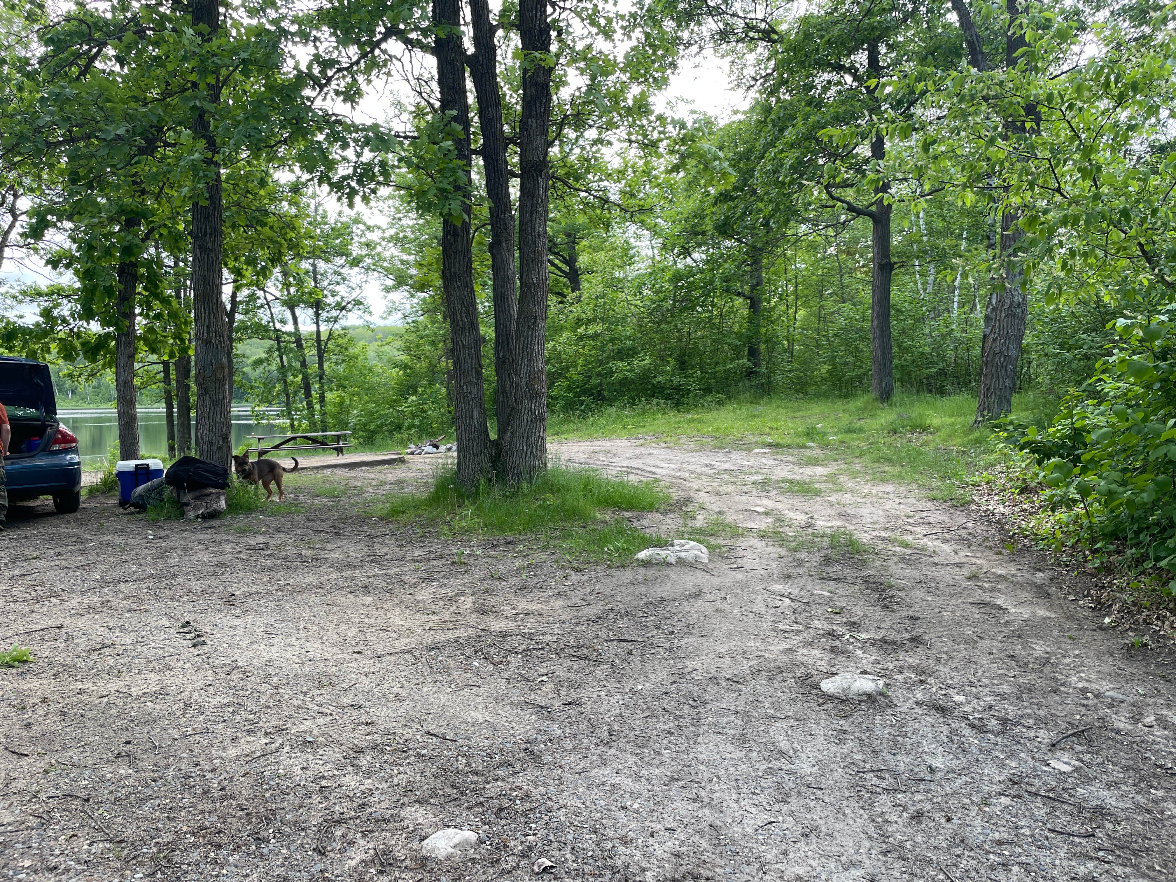 Camper-submitted photo at Halverson Trail Camp on McCarty Lake near Blackduck, MN