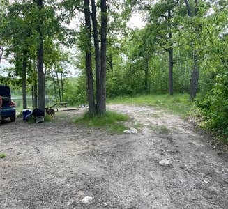 Camper-submitted photo from Halverson Trail Camp on McCarty Lake