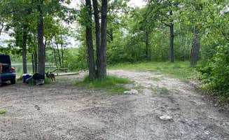 Kaleigh F.'s photo of camping with pets at Halverson Trail Camp on McCarty Lake near Horton, MN