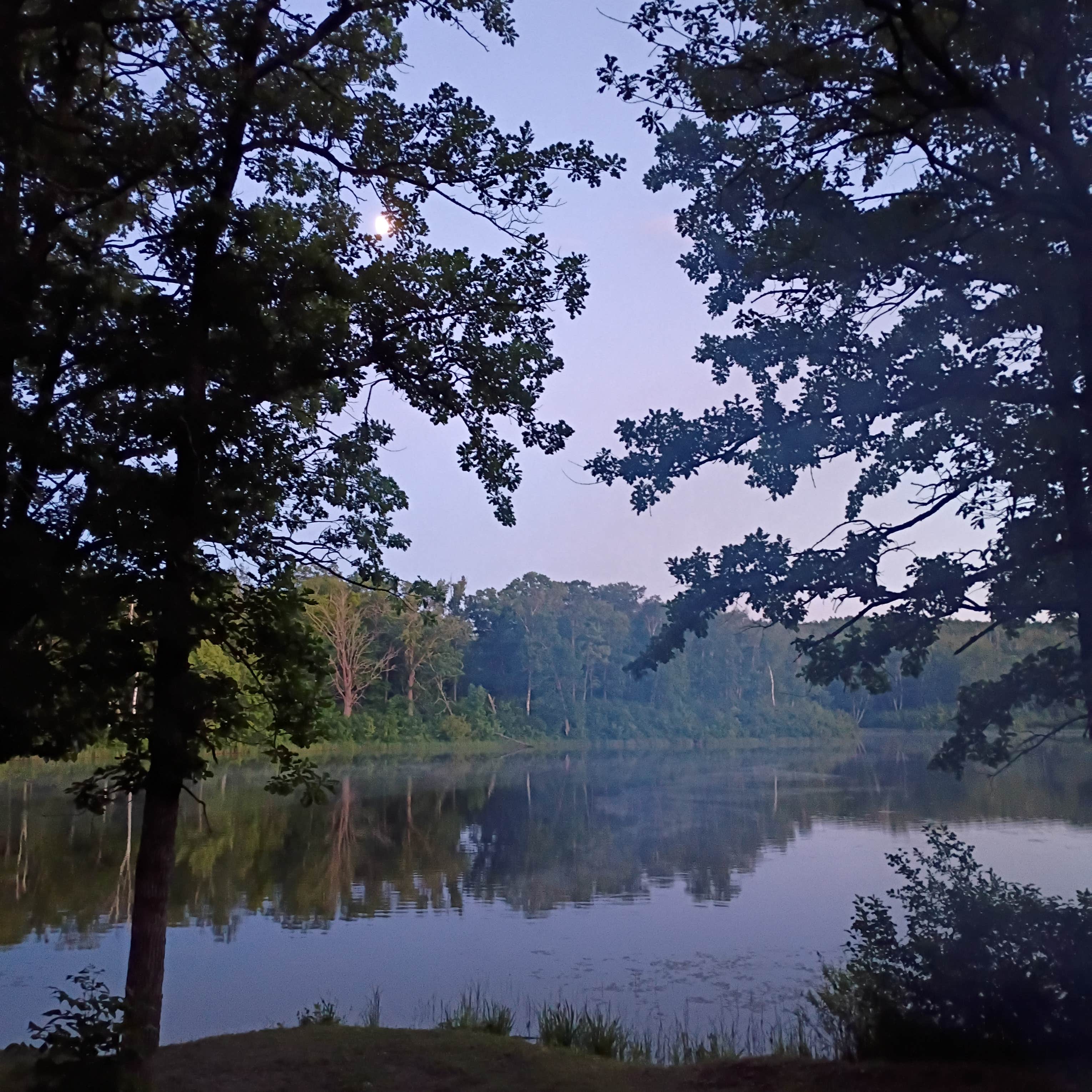 Camper-submitted photo at Halverson Trail Camp on McCarty Lake near Chippewa National Forest