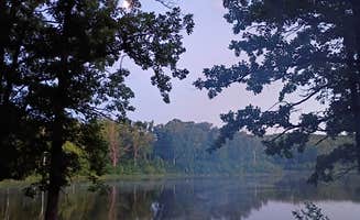 Glen B.'s photo of a dispersed camping area at Halverson Trail Camp on McCarty Lake near Midway, MN