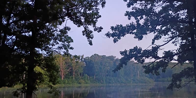 Camper submitted image from Halverson Trail Camp on McCarty Lake
