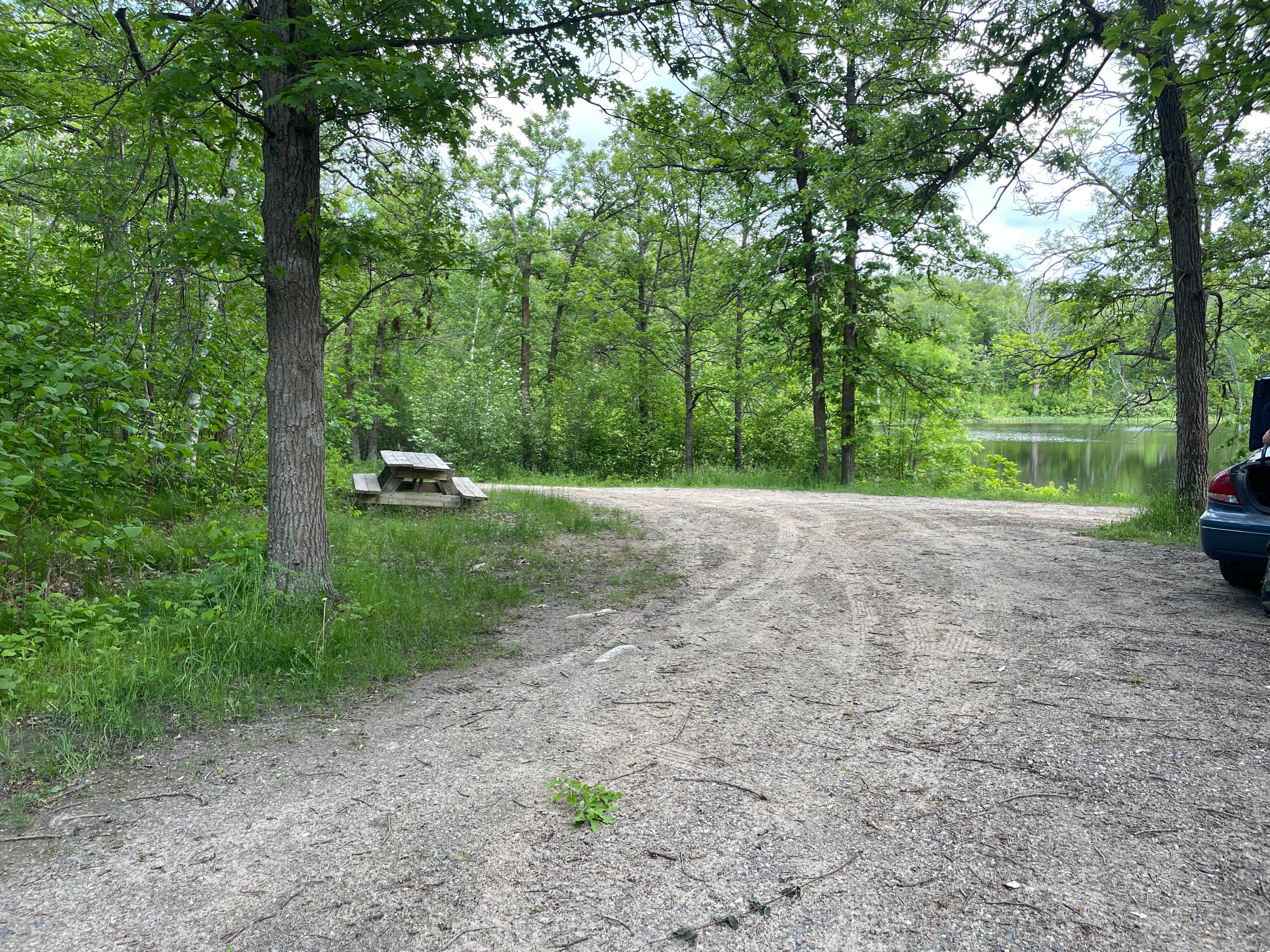 Camper submitted image from Halverson Trail Camp on McCarty Lake - 2