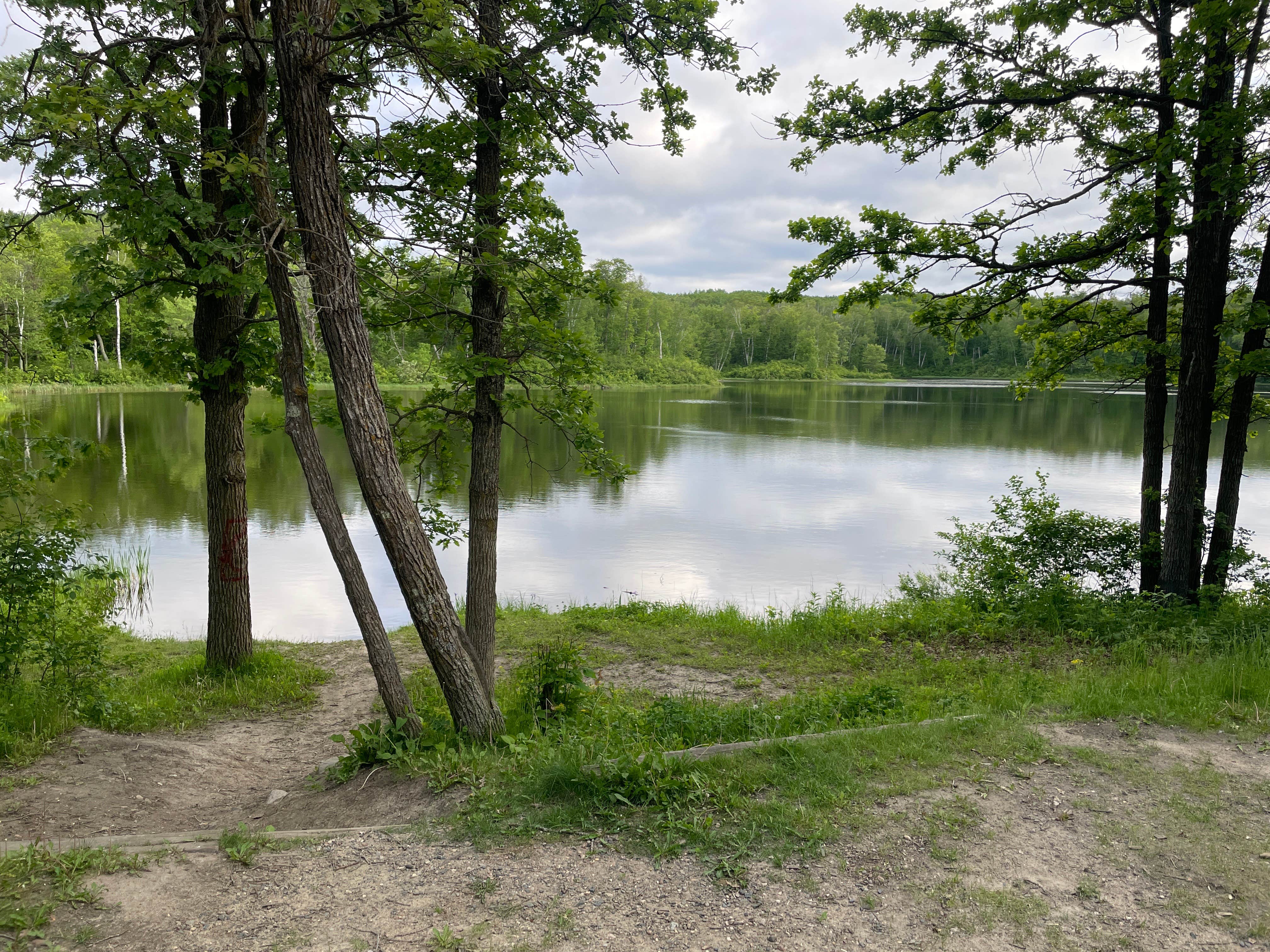 Kaleigh F.'s photo of a dispersed camping area at Halverson Trail Camp on McCarty Lake near Blackduck, MN