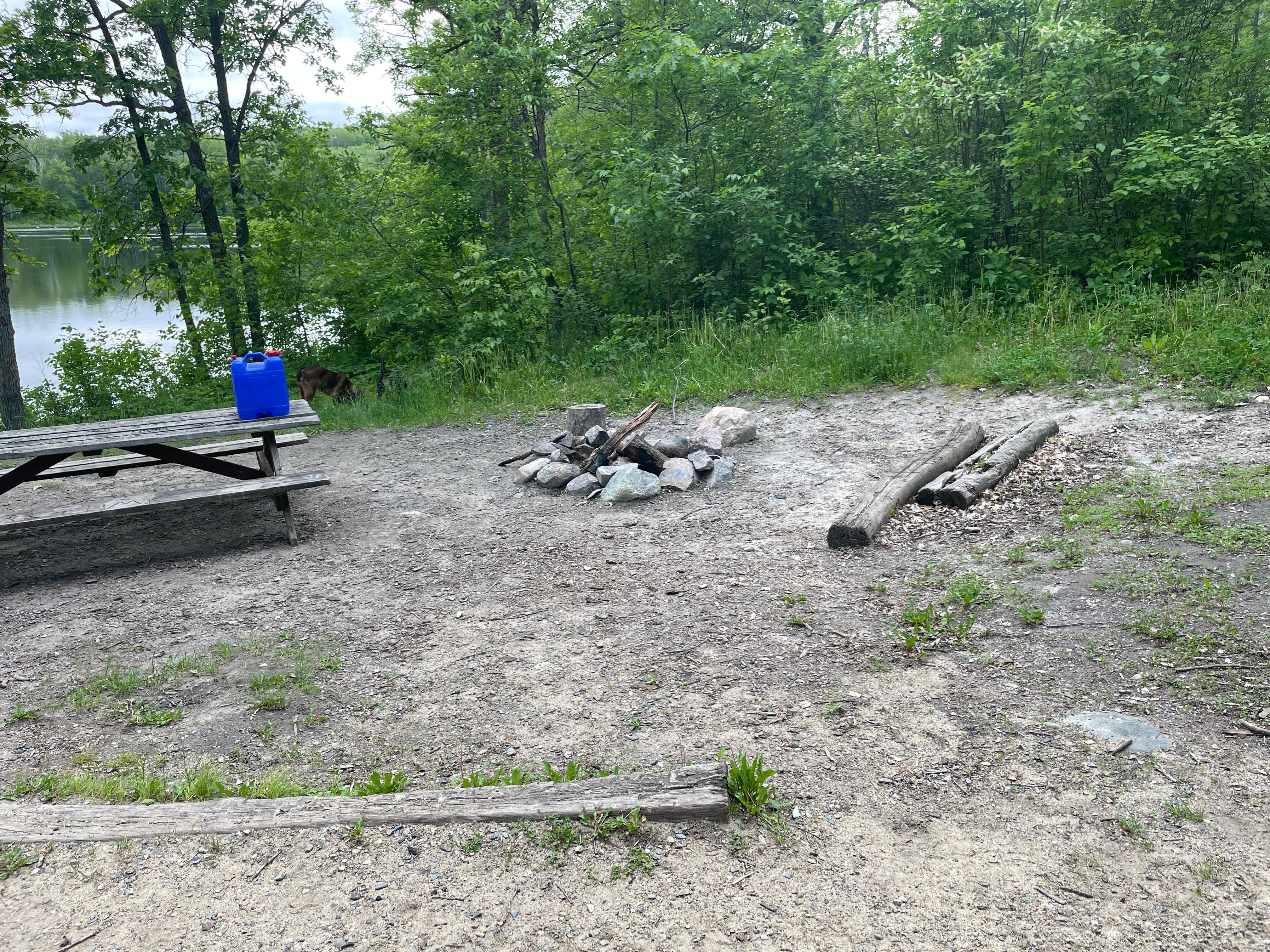 Camper-submitted photo at Halverson Trail Camp on McCarty Lake near Blackduck, MN
