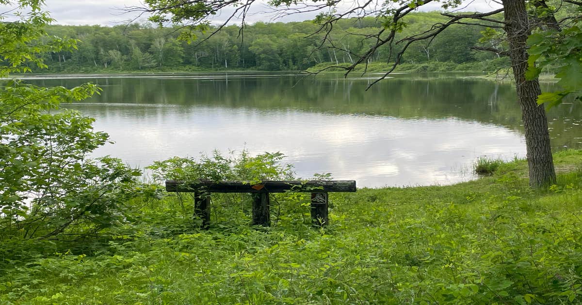 Halverson Trail Camp on McCarty Lake