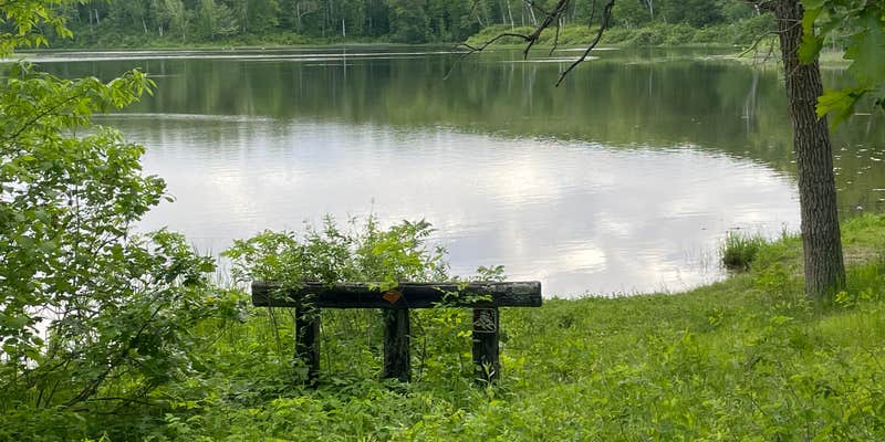 Camper submitted image from Halverson Trail Camp on McCarty Lake