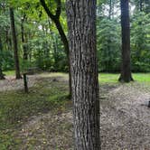 Review photo of Hamilton County Miami Whitewater Forest Campground by Paul D., August 7, 2026