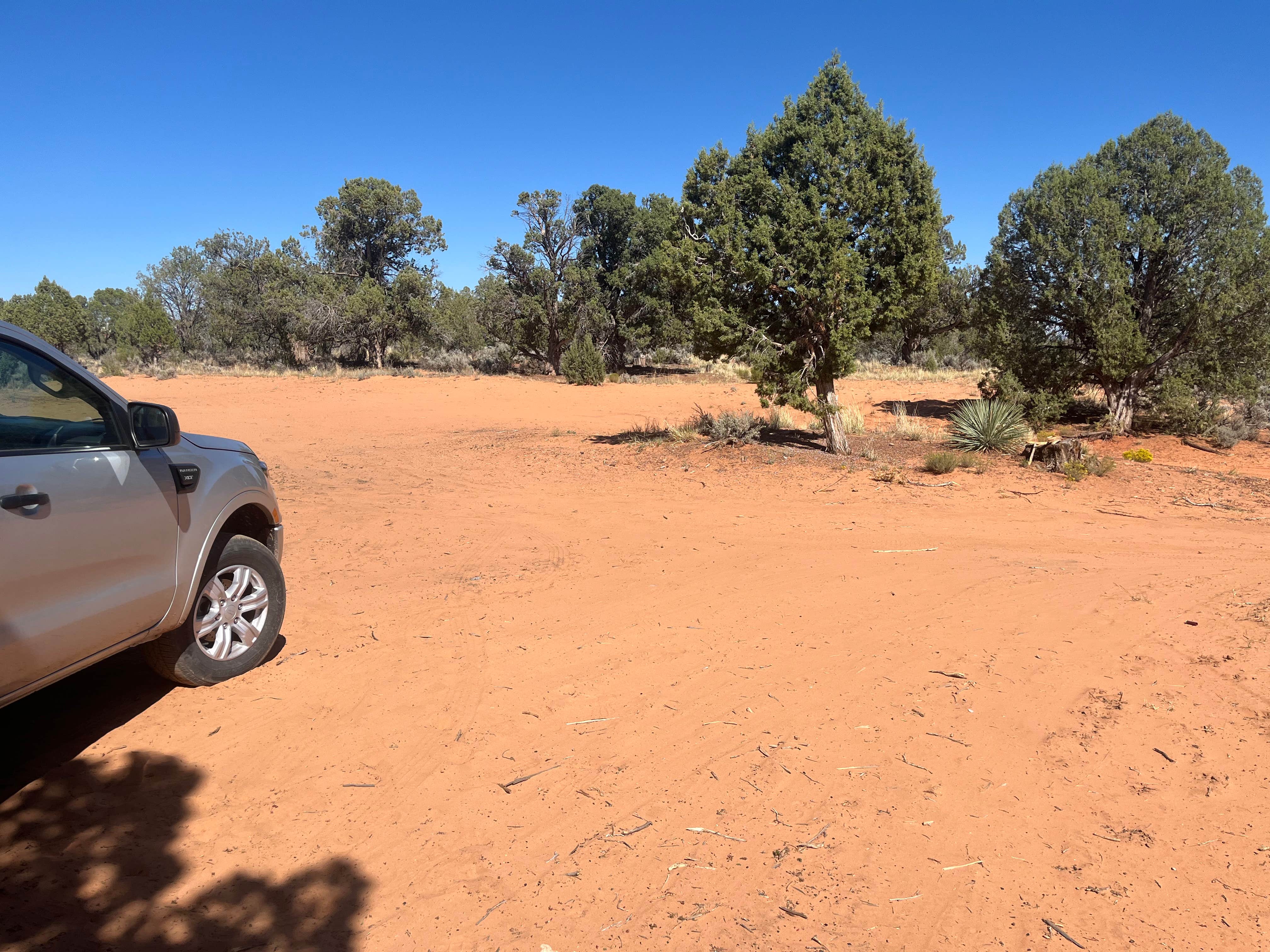Camper-submitted photo at Hancock Road 64L Dispersed near Orderville, UT