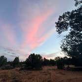 Review photo of Hancock Road 64L Dispersed by Ashley R., April 4, 2026