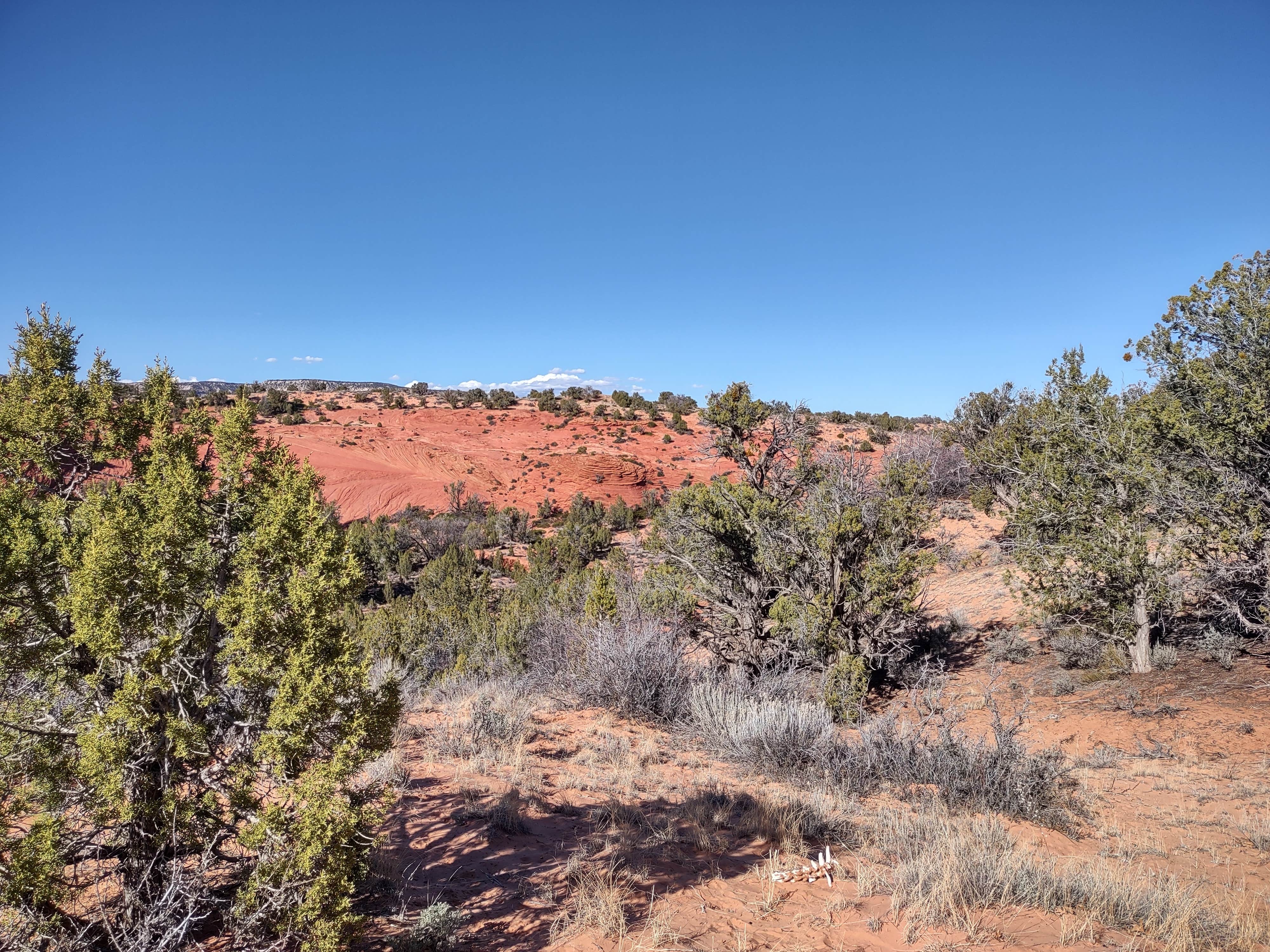 Camper-submitted photo at Hancock Road 64L Dispersed near Orderville, UT