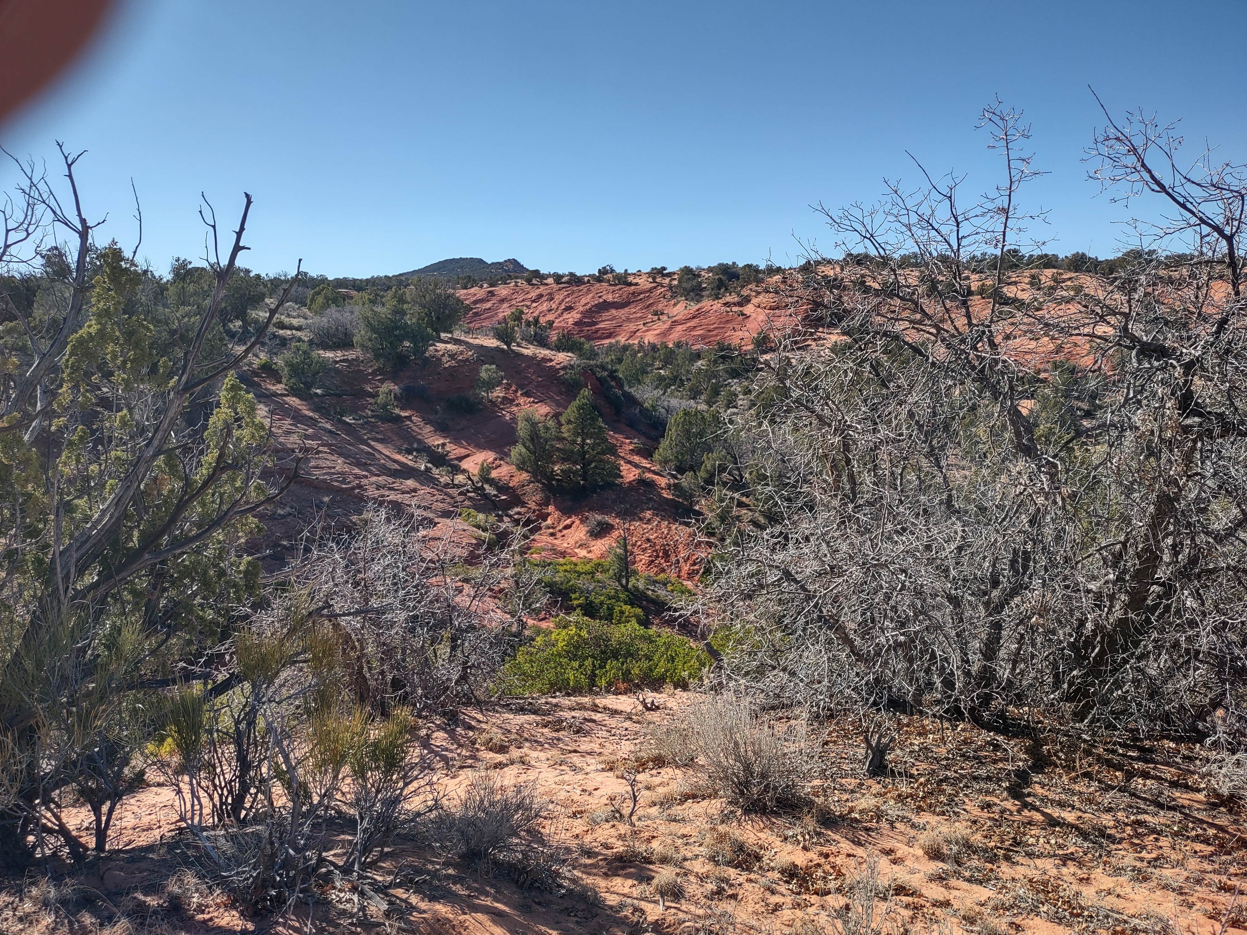 Camper-submitted photo at Hancock Road 64L Dispersed near Orderville, UT