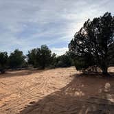 Review photo of Hancock Road 64L Dispersed by Ashley R., April 4, 2026