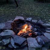 Review photo of Hanging Bog Big Bass Serenity Camp by Janet R., June 19, 2024