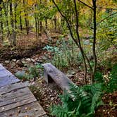 Review photo of Hanging Bog Big Bass Serenity Camp by Janet R., June 19, 2024