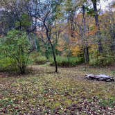 Review photo of Hanging Bog Big Bass Serenity Camp by Janet R., June 19, 2024