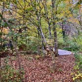 Review photo of Hanging Bog Big Bass Serenity Camp by Janet R., June 19, 2024