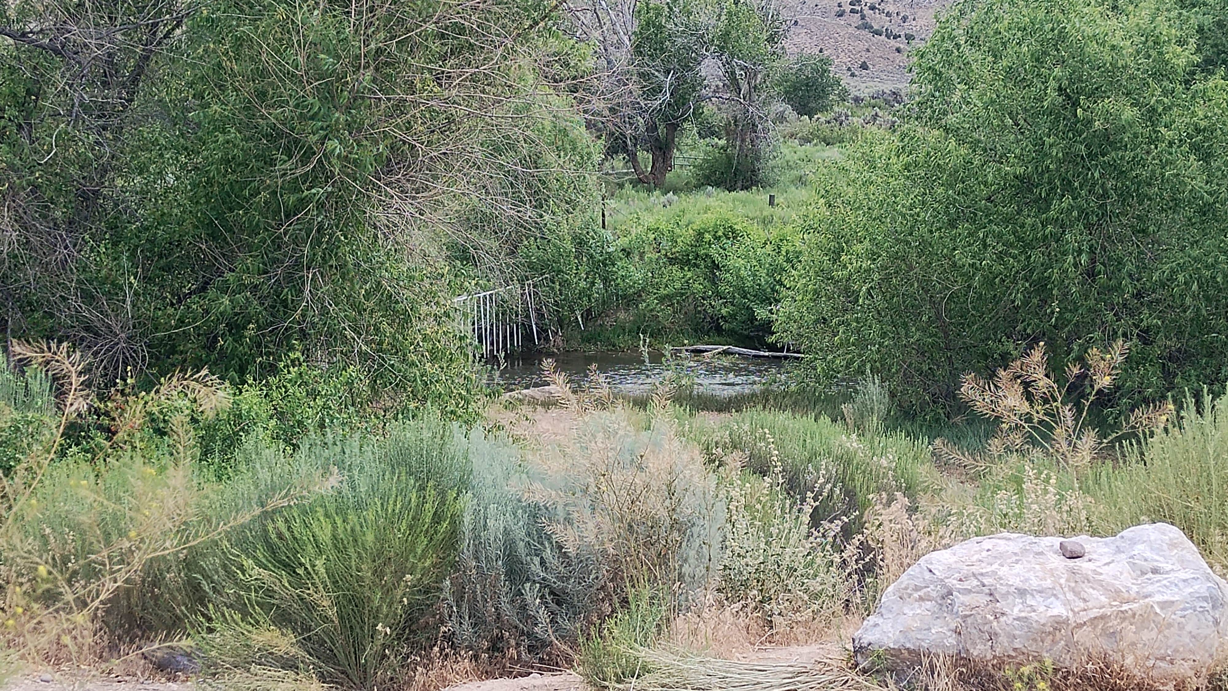 Camper-submitted photo at Hanging Rock Campground — Bureau Of Land Management near Milford, UT