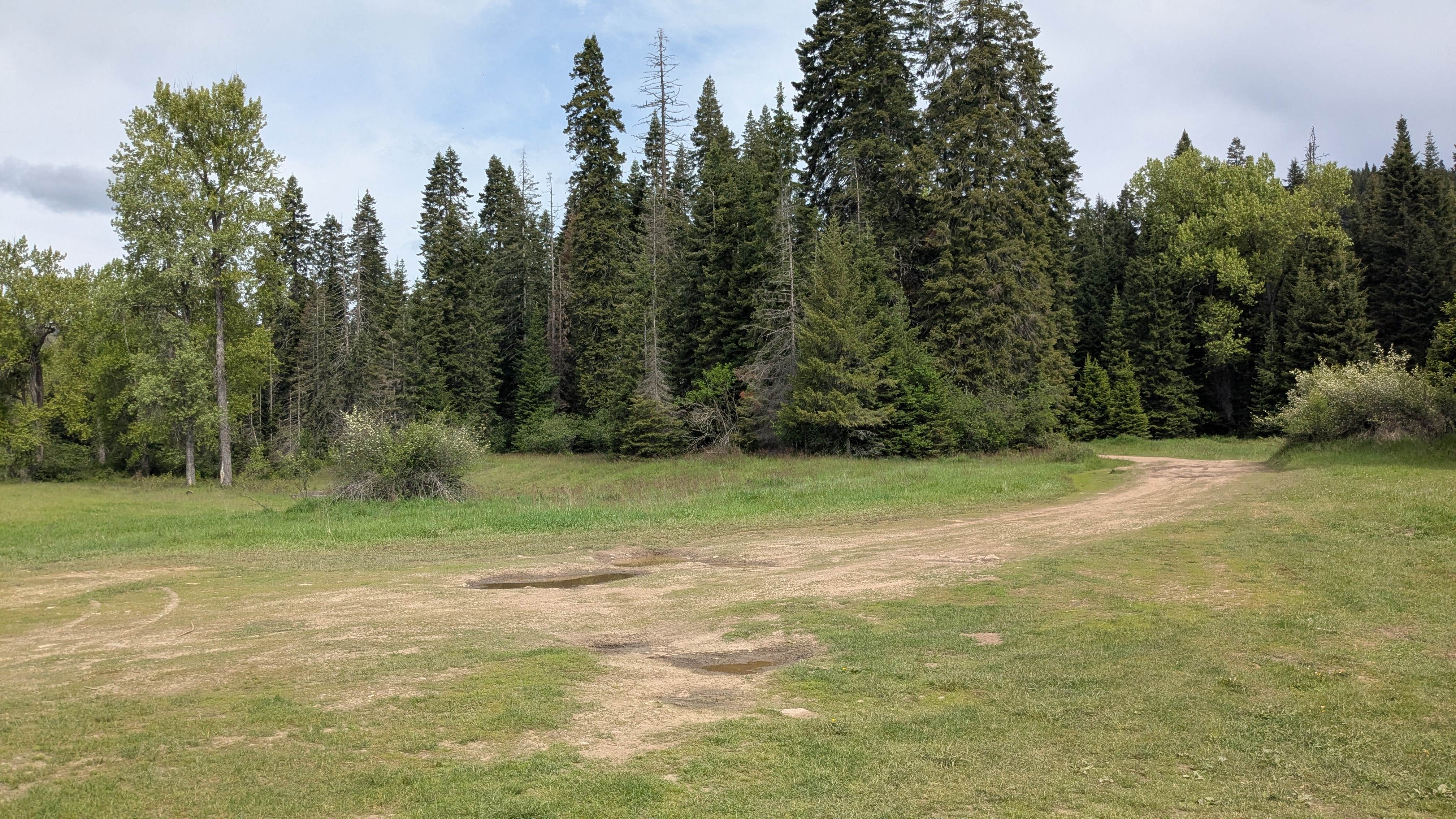 Camper-submitted photo at Hanks Meadow near Rathdrum, ID