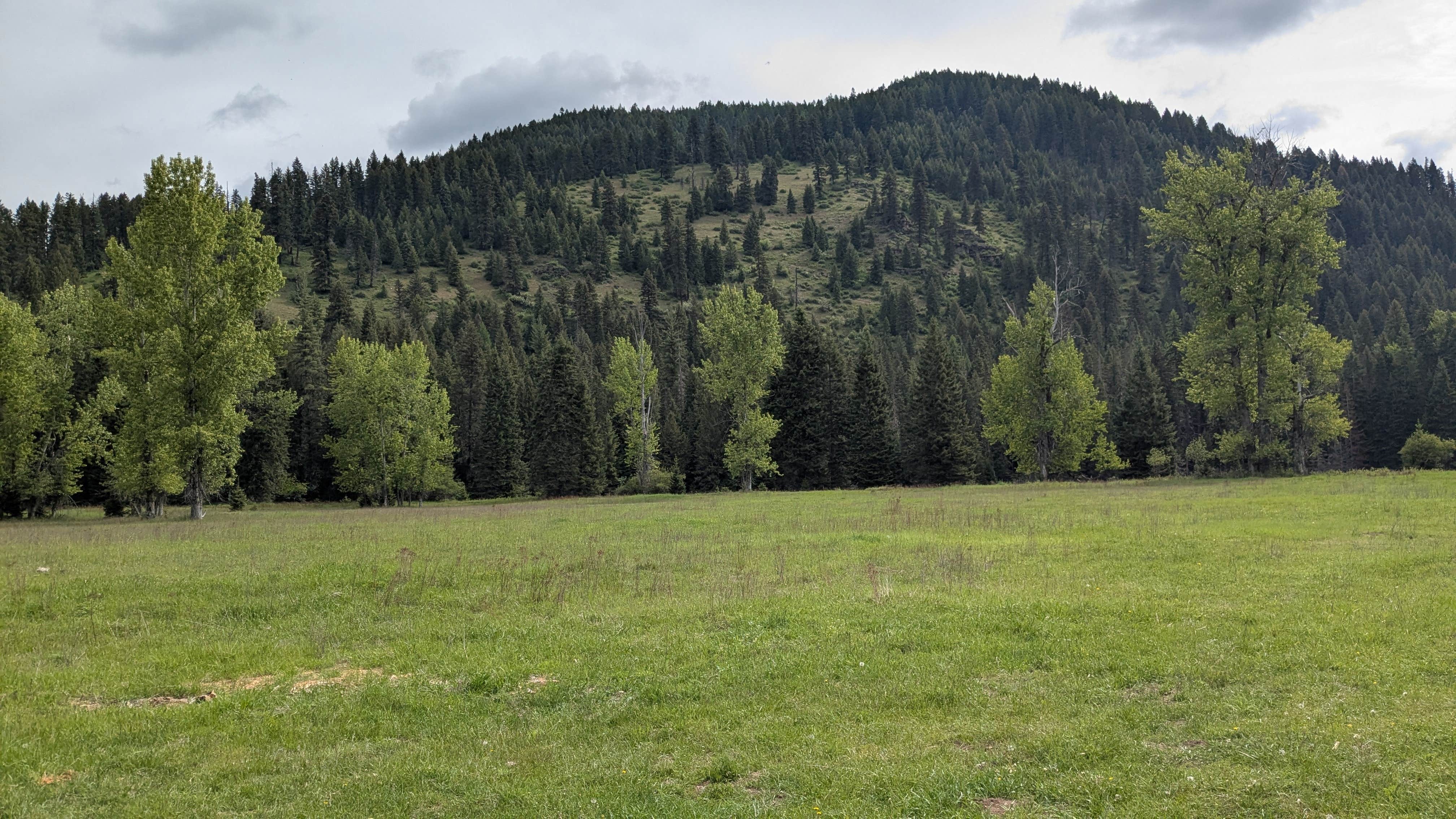 Camper-submitted photo at Hanks Meadow near Rathdrum, ID