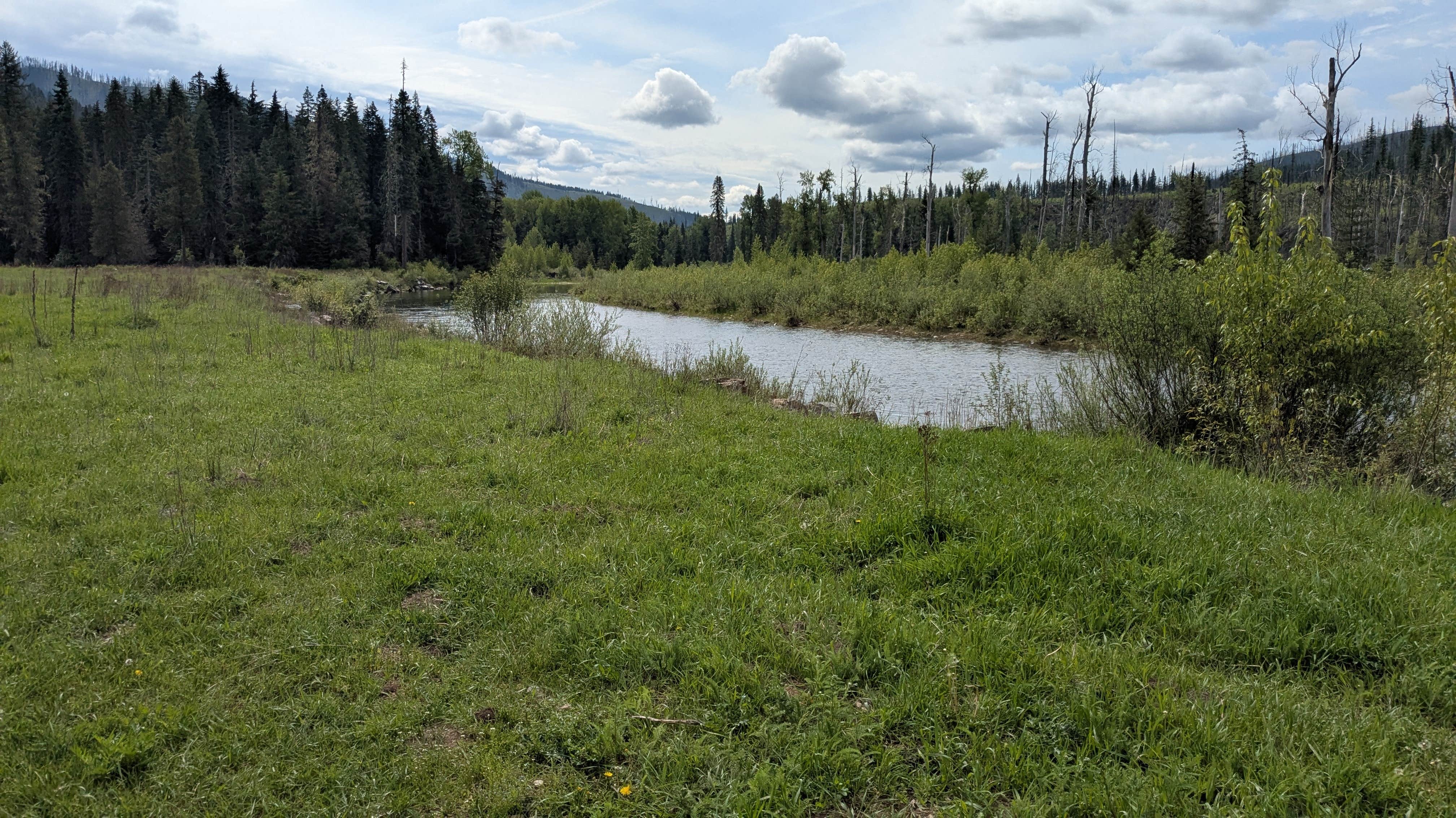 Camper submitted image from Hanks Meadow - 3