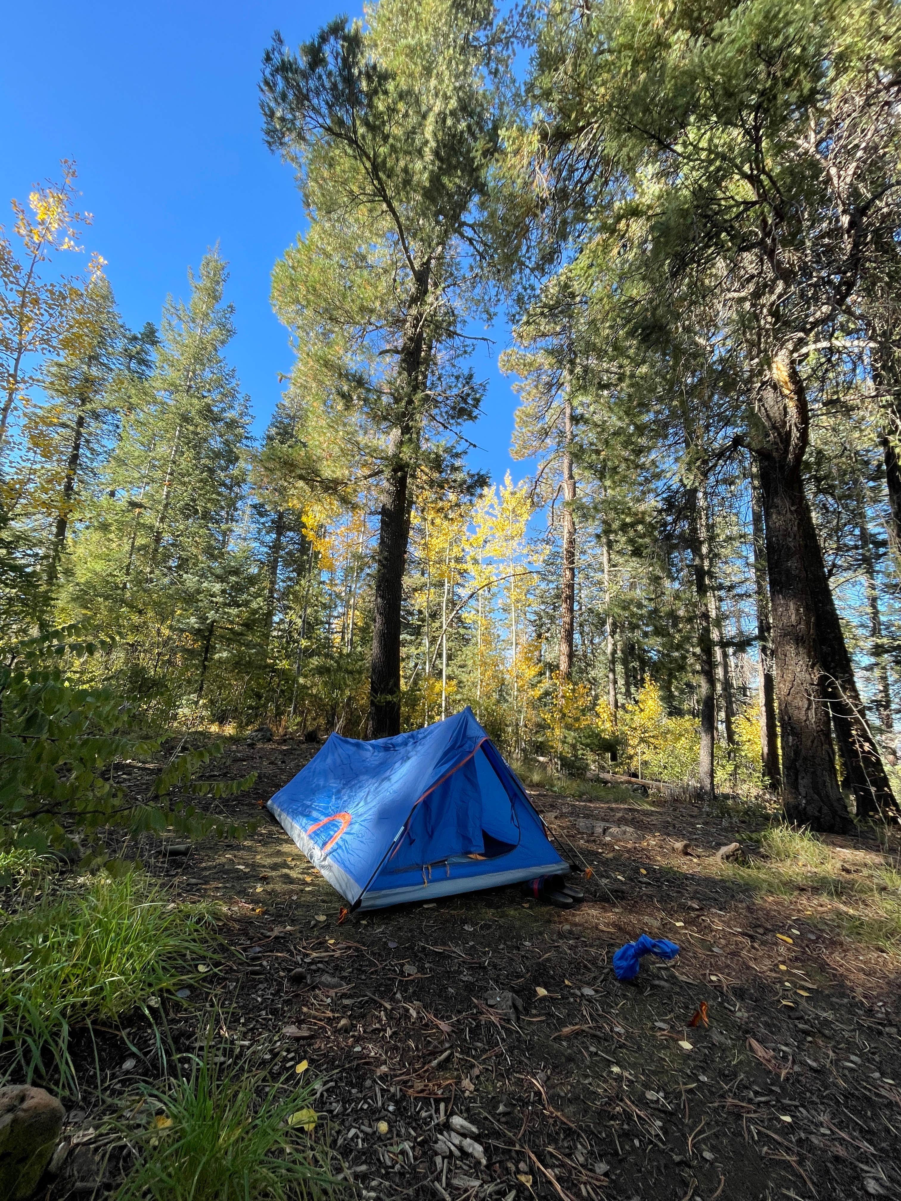 Camper-submitted photo at Hannagan Campground - Apache Sitgreaves National Forests near Blue, AZ