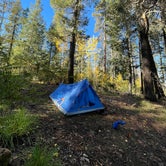Review photo of Hannagan Campground - Apache Sitgreaves National Forests by brent R., September 24, 2023