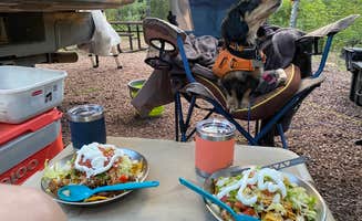 Beth G.'s photo of camping with pets at Hannagan Campground - Apache Sitgreaves National Forests near Alpine, AZ