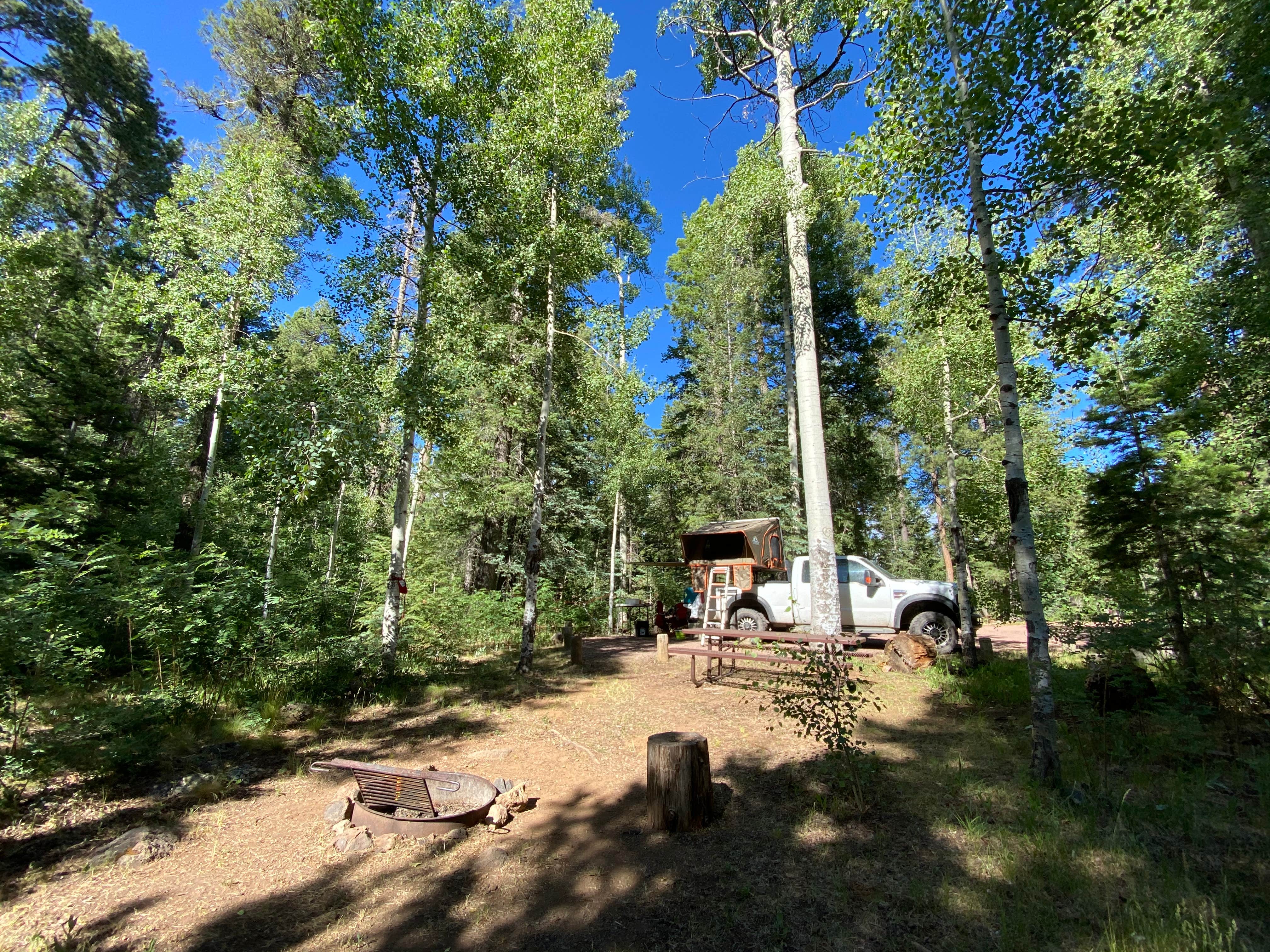 Camper-submitted photo at Hannagan Campground - Apache Sitgreaves National Forests near Blue, AZ
