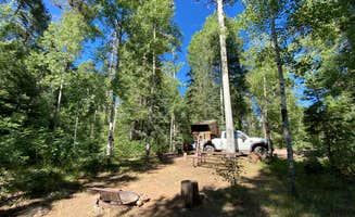 Beth G.'s photo at Hannagan Campground - Apache Sitgreaves National Forests near Morenci, AZ