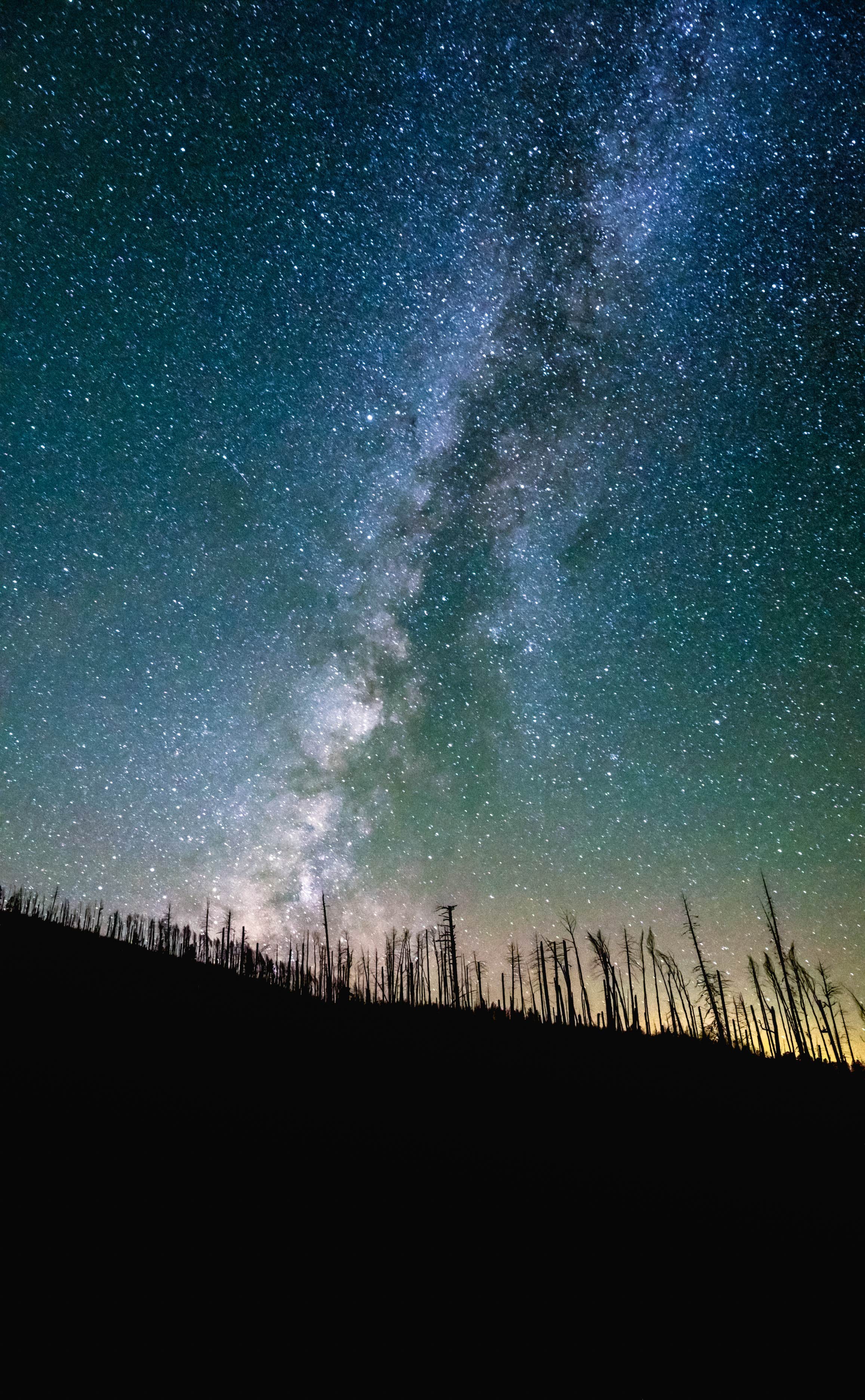 Camper-submitted photo at Hannagan Campground - Apache Sitgreaves National Forests near Blue, AZ