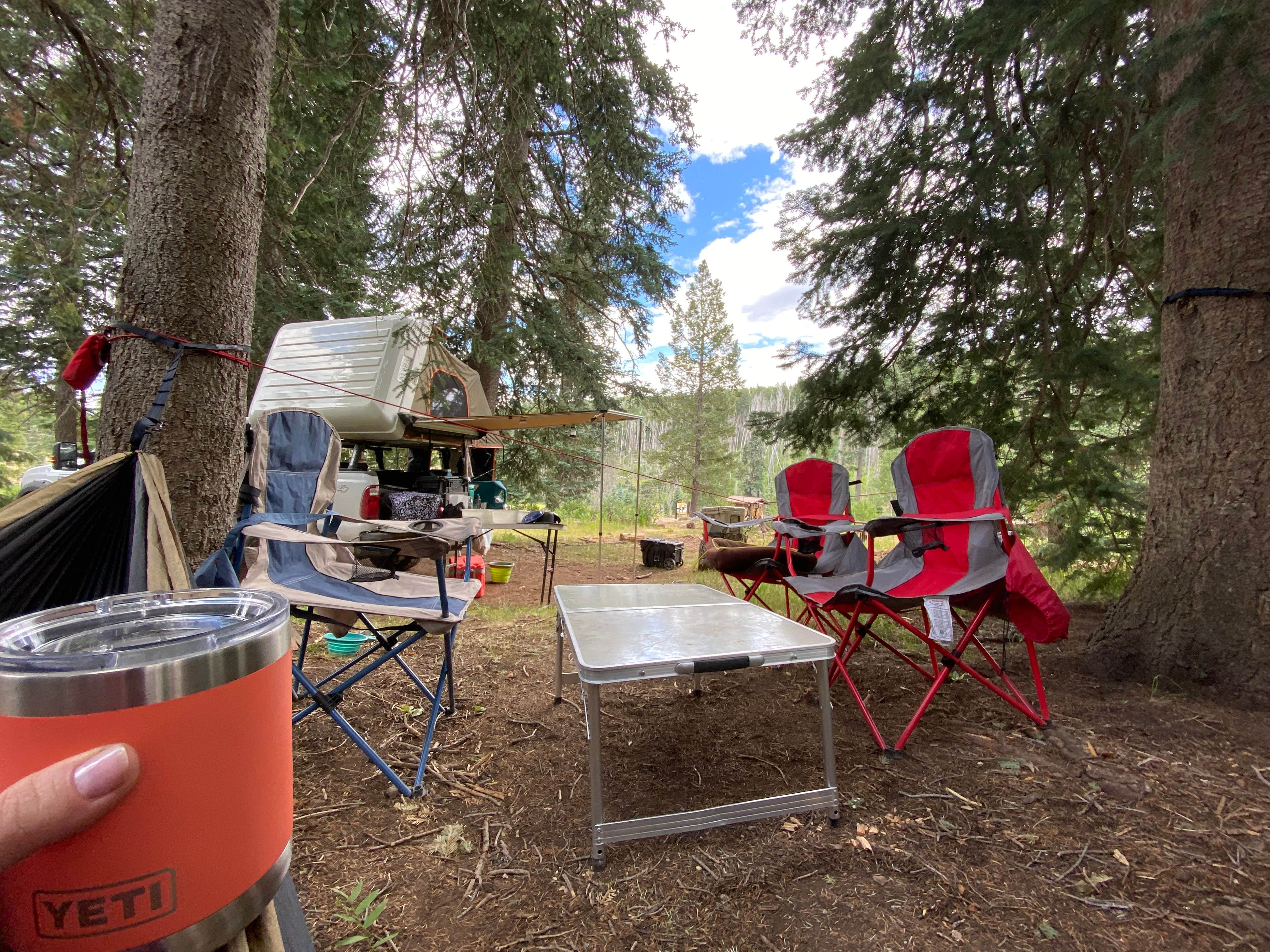 Camper submitted image from Hannagan Campground - Apache Sitgreaves National Forests - 1
