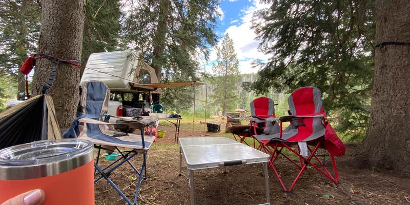 Camper submitted image from Hannagan Campground - Apache Sitgreaves National Forests