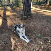 Review photo of Hannagan Campground - Apache Sitgreaves National Forests by brent R., September 24, 2023