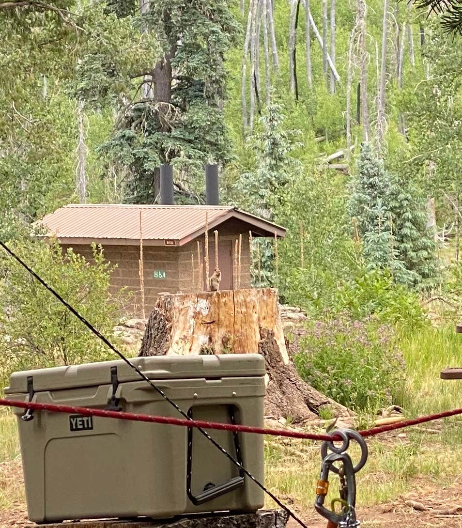 Camper submitted image from Hannagan Campground - Apache Sitgreaves National Forests - 4