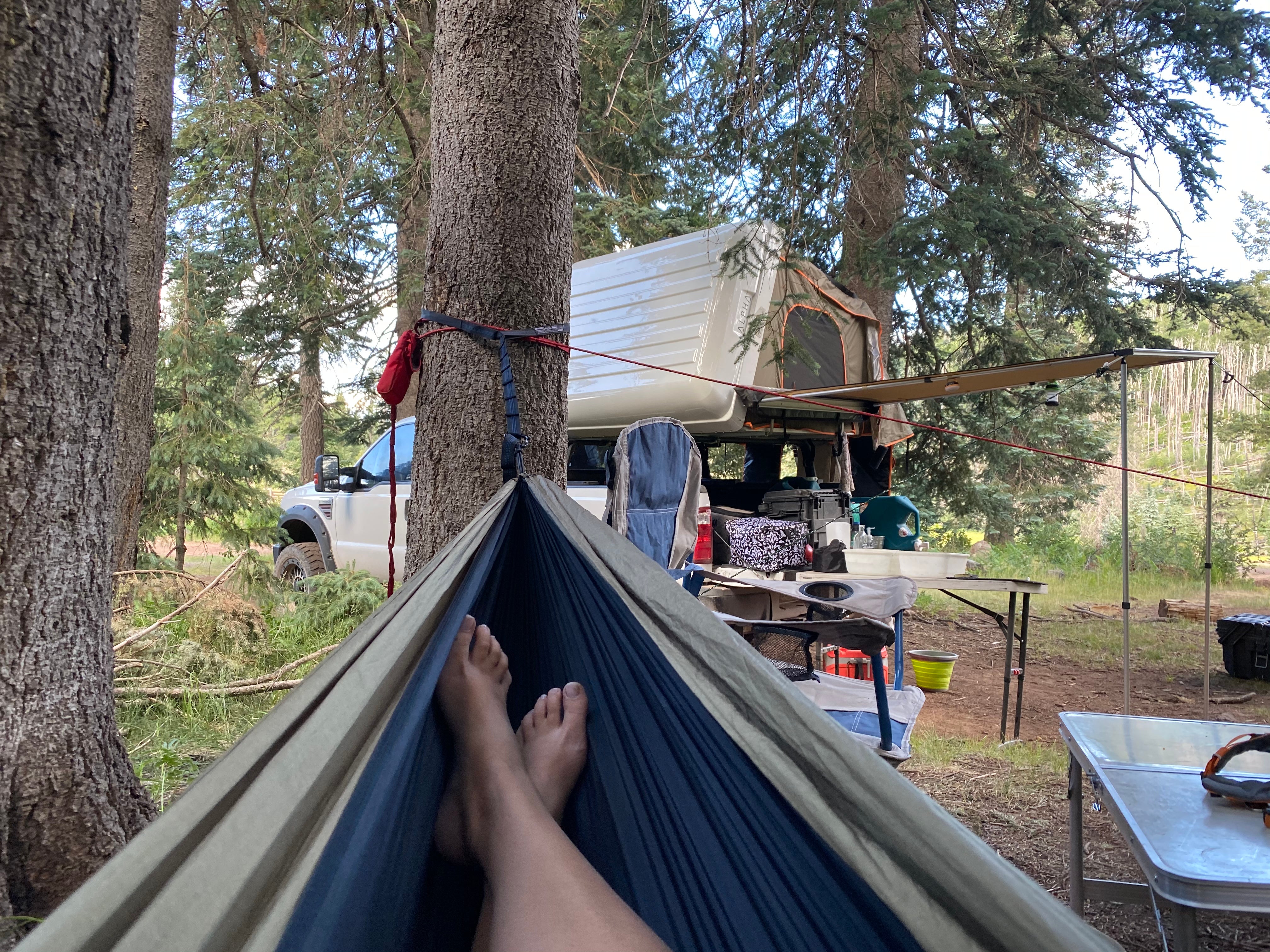 Camper submitted image from Hannagan Campground - Apache Sitgreaves National Forests - 2