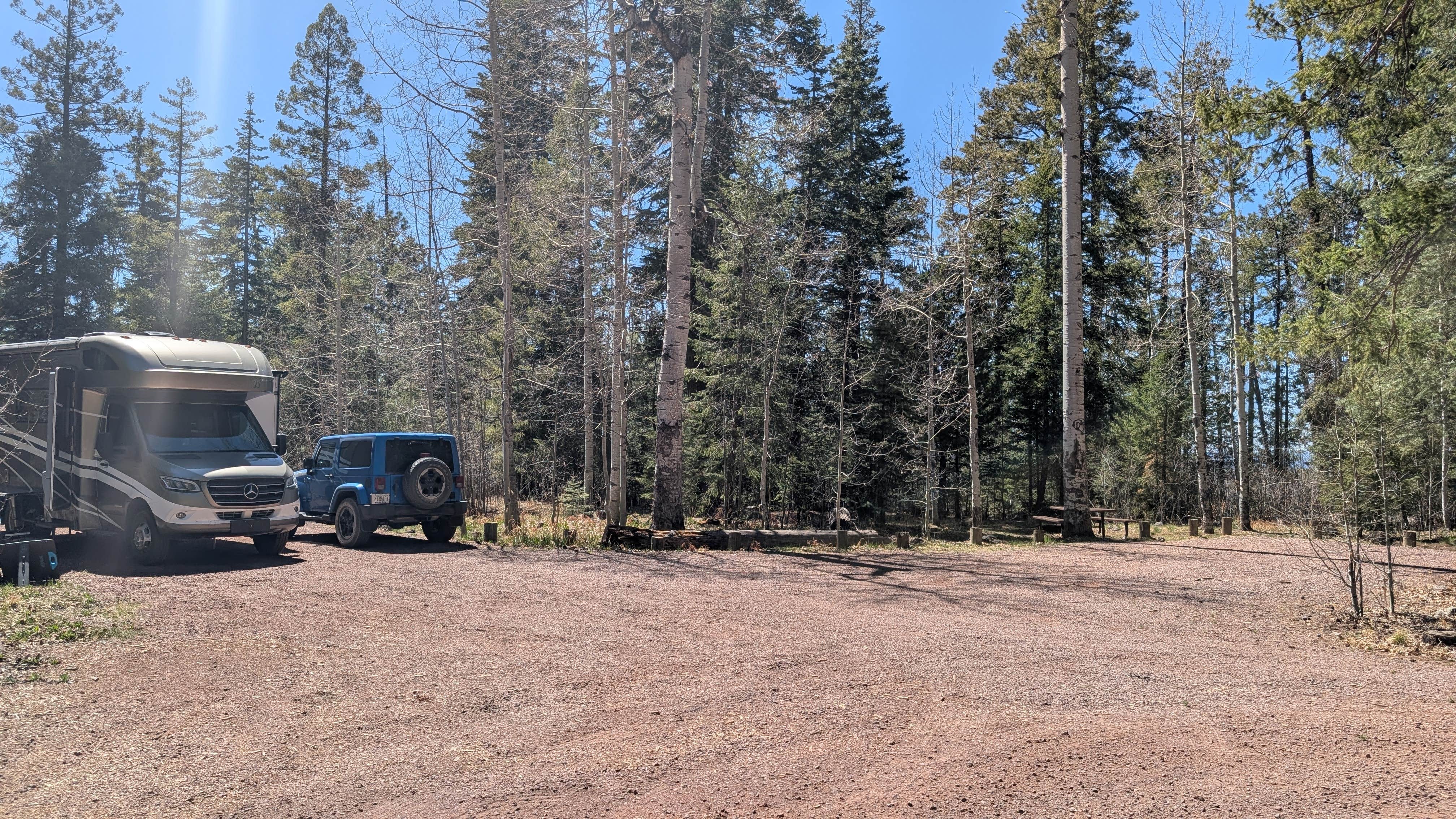 MB B.'s photo at Hannagan Campground - Apache Sitgreaves National Forests near Morenci, AZ