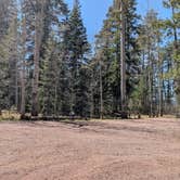 Review photo of Hannagan Campground - Apache Sitgreaves National Forests by MB B., April 22, 2025