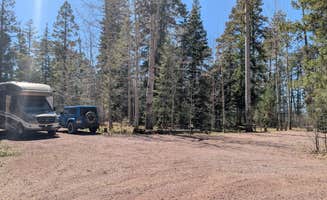 MB B.'s photo at Hannagan Campground - Apache Sitgreaves National Forests near Reserve, NM