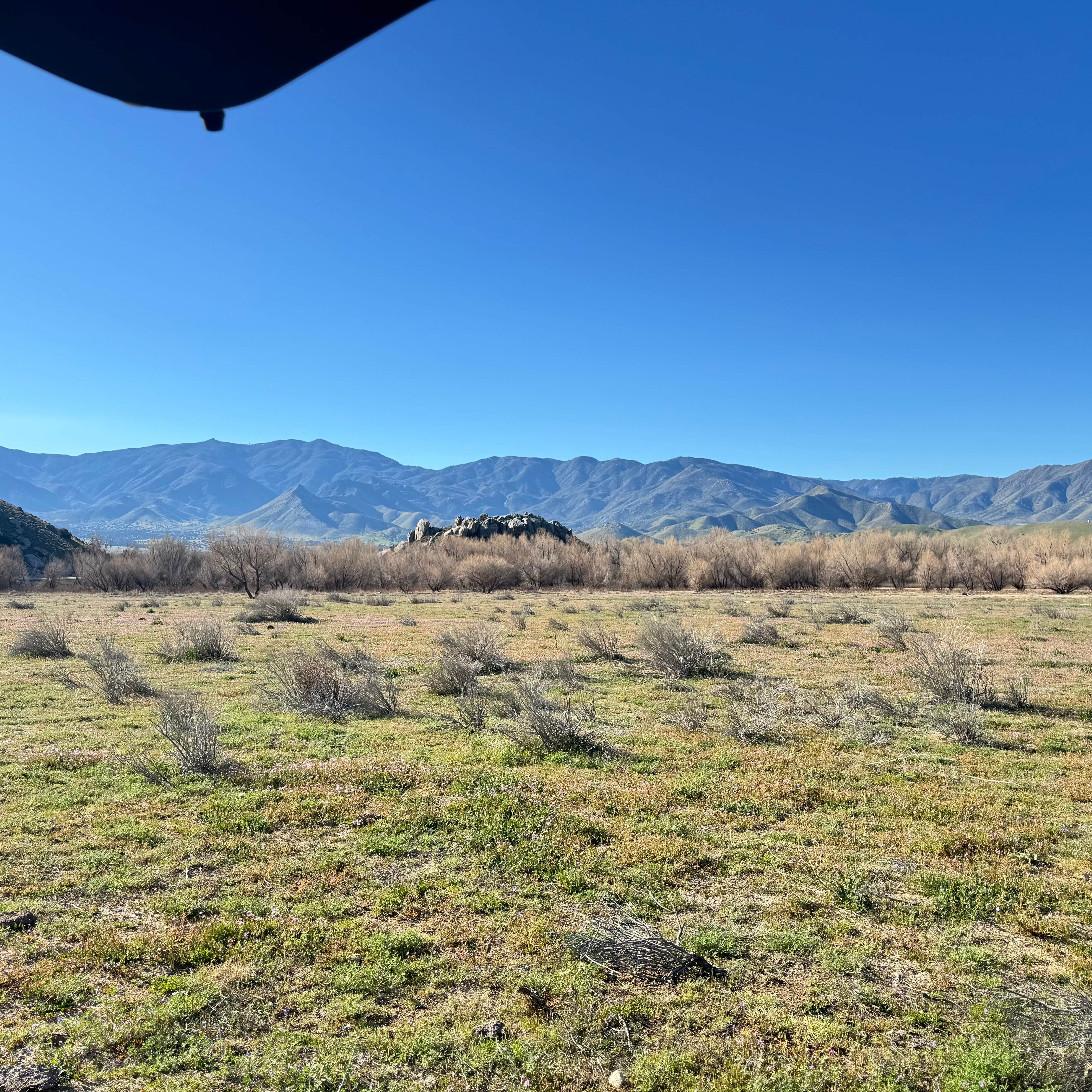 Camper-submitted photo at Hanning Flat Dispersed Area near Bakersfield, CA