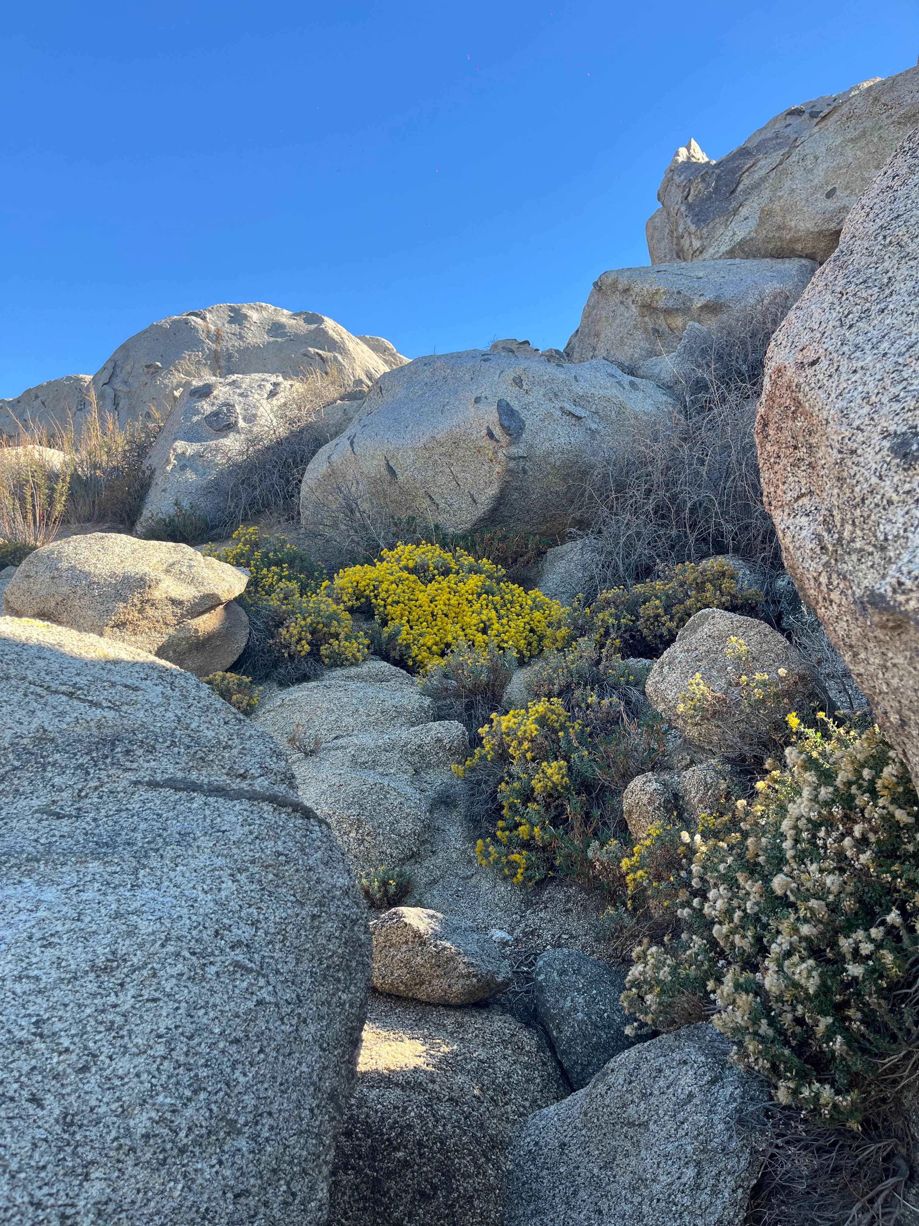 Camper-submitted photo at Hanning Flat Dispersed Area near Onyx, CA