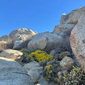 Review photo of Hanning Flat Dispersed Area by karen B., November 1, 2025