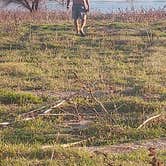 Review photo of Hanning Flat Dispersed Area by Susan D., March 24, 2026